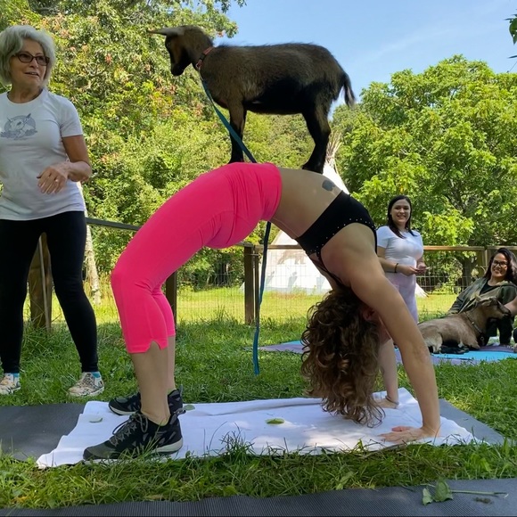 ✨MEET THE POSHER✨ - Picture 3 of 3